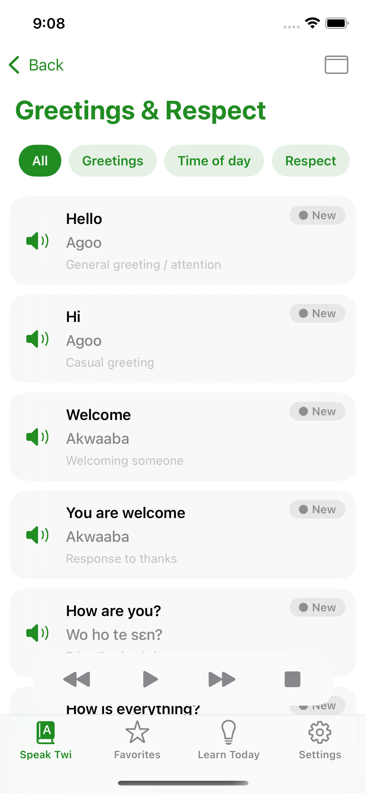 Nkyea Twi Phrasebook screenshot