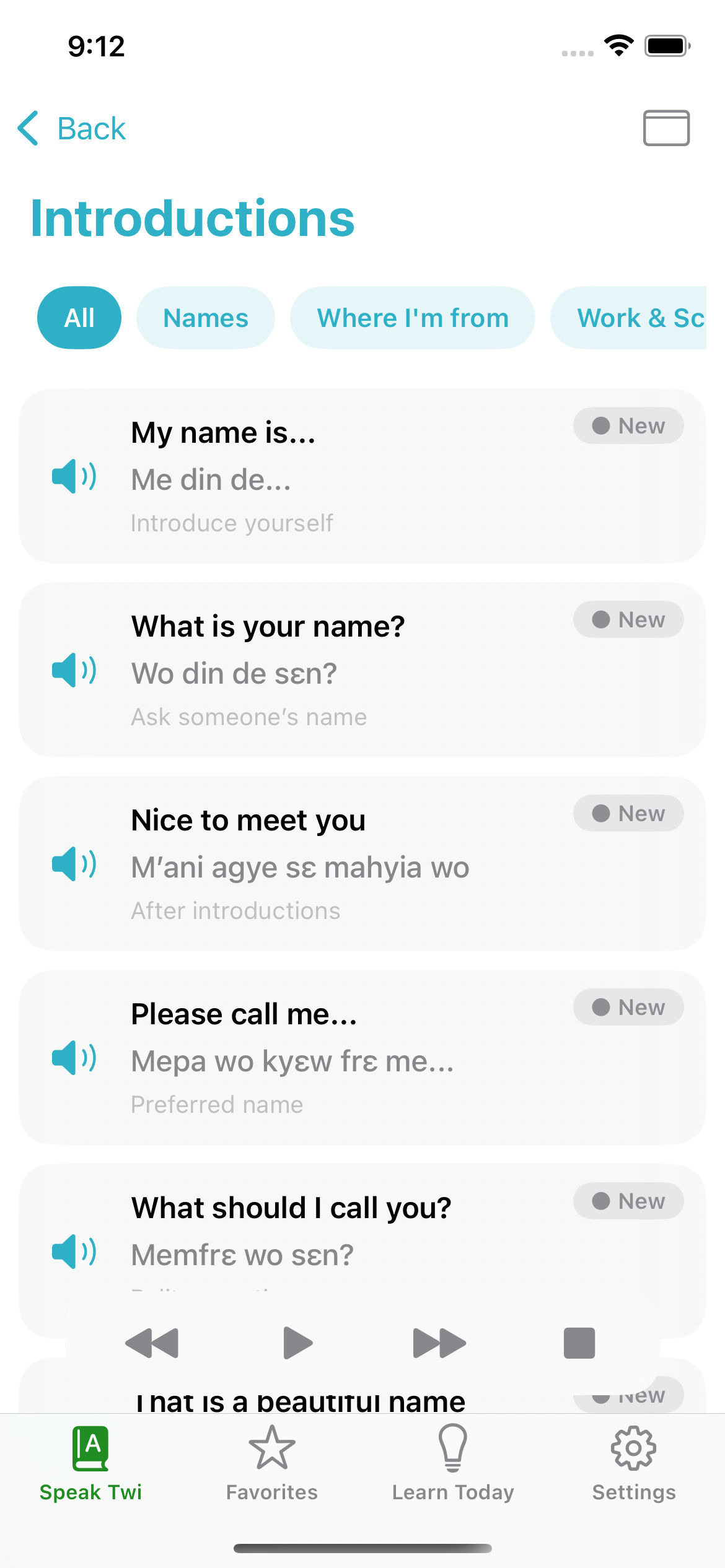 Nkyea Twi Phrasebook phrase detail screen