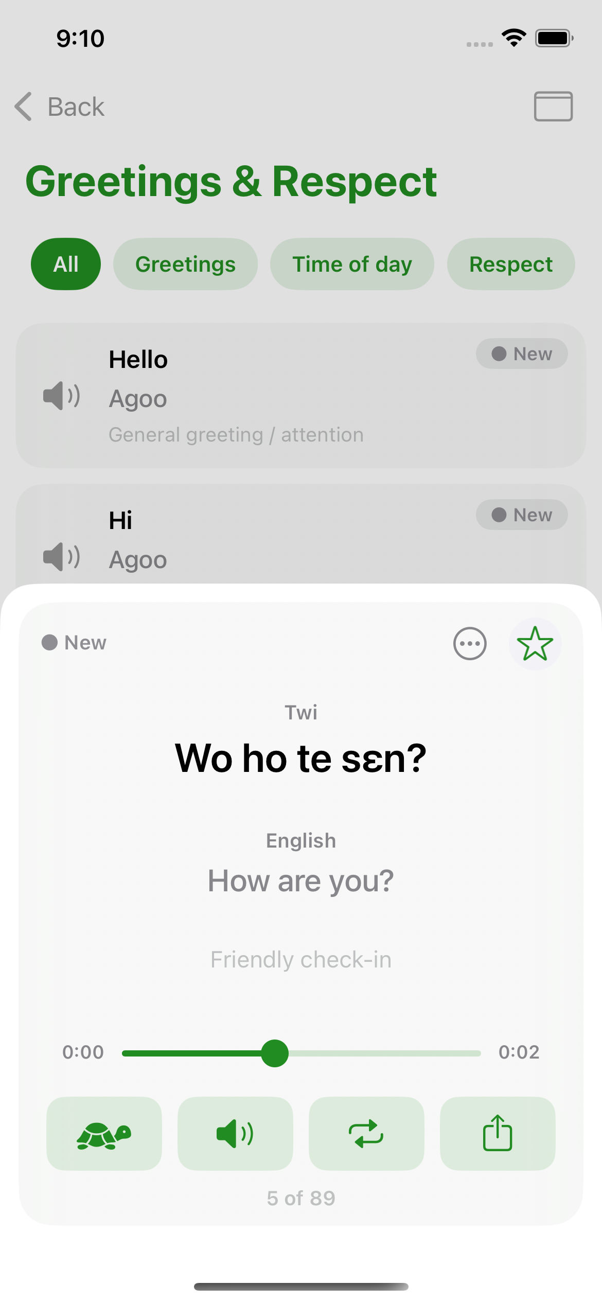 Nkyea Twi Phrasebook practice screen